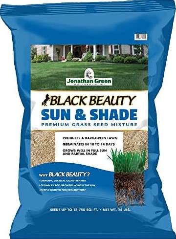 Jonathan Green Grass Seed